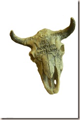 Buffalo Skull 2