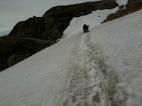IMG_1301.jpg Photo