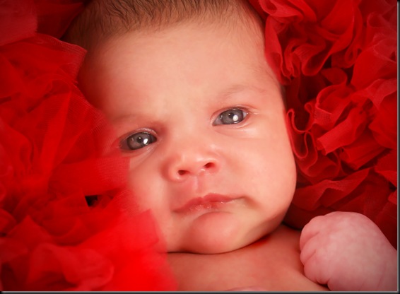 Lilitutucloseup