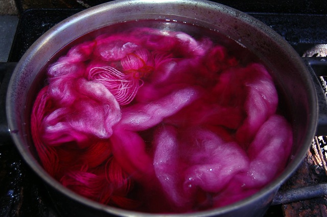 [red cabbage dye pot[4].jpg]