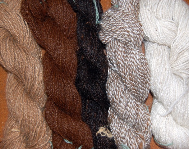[Alpaca fibre - spun by Jill[3].jpg]