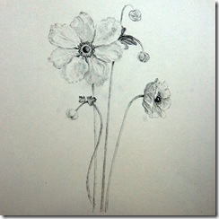 Intro to Botanical Illustration - 4