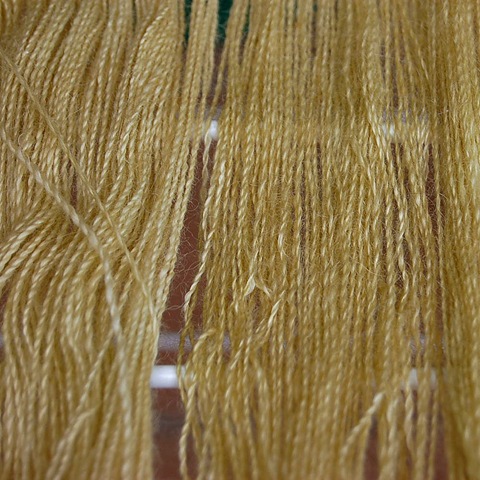 [alpaca dyed mexican blossom[6].jpg]