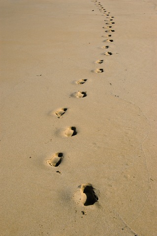 [footprints in sand[4].jpg]