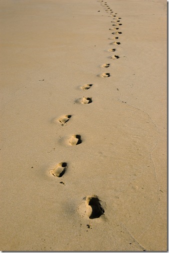 footprints in sand