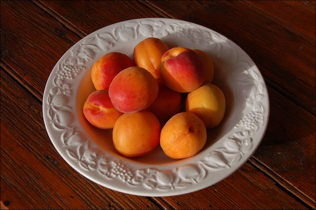 [bowl of apricots[4].jpg]