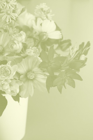[Mitty's flowers 7[2].jpg]