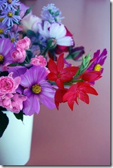 Mitty's flowers 2