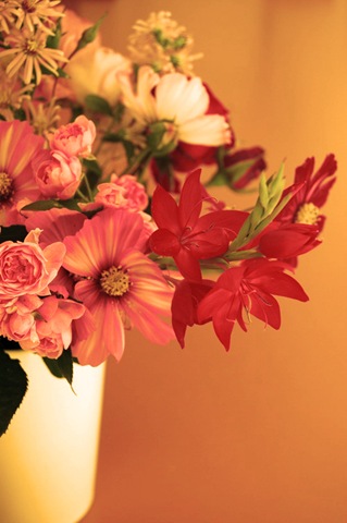 [Mitty's flowers 10[2].jpg]