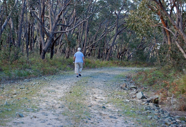 [Grampians 6[4].jpg]
