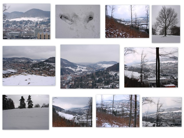 2009-03-22 Ballade dans la neige