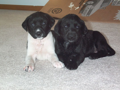Our babies!