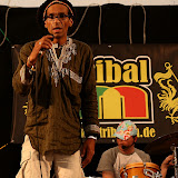 HS_20100828_Guido_Kraut_IMG_3286.jpg