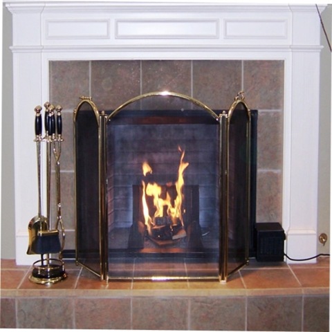 [fireplace heater.jpg]