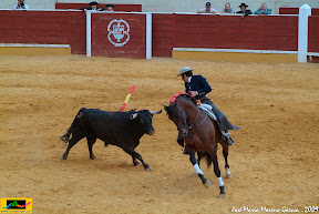 CORRIDA DE REJONES >176 FOTOS Y 5 VIDEOS<