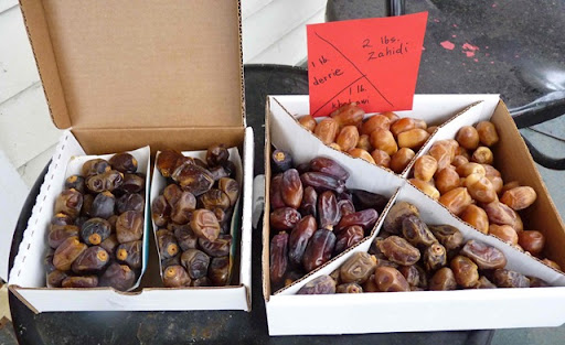 types of dates fruit. types of dates available,