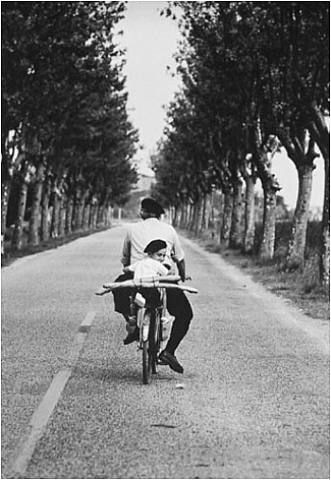 [provence 55[4].jpg]