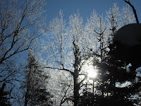 20071208_102531.JPG