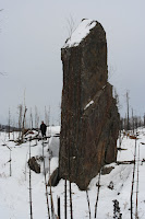 IMG_2255.jpg