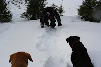 IMG_2431.jpg
