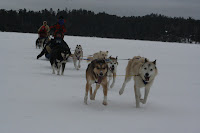 IMG_2613.jpg