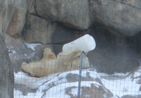 2007_0224_135723.JPG