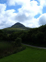 DSCF2038.JPG