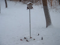 2003_1209_144026AA.JPG