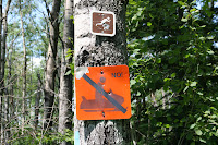 Grand Marais 077.JPG