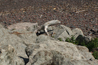 Grand Marais 136.JPG