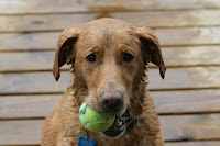Maggie and AD 029.JPG