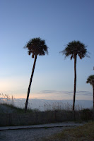 South Carolina 112.jpg