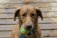 Maggie and AD 029.JPG