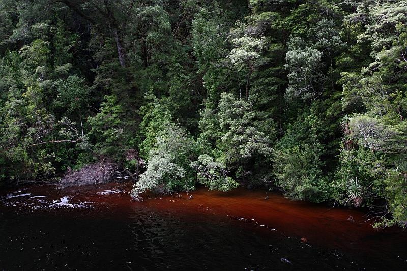 [100104GordonRiverCruiseTasmania_078_.jpg]