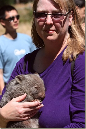 Heather holding baby wombat Otto, Trowunna, Tasmania
