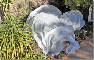101123_succ_wrapped 101123_succ_wrapped