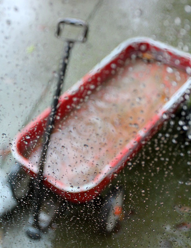 [110217_rain_wagon[2].jpg]