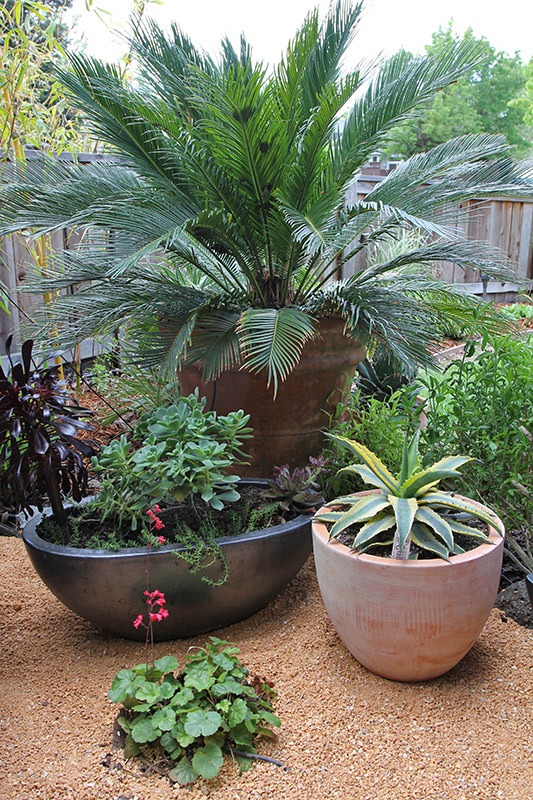 [110421_tropicalbedwalkway_after6[3].jpg]