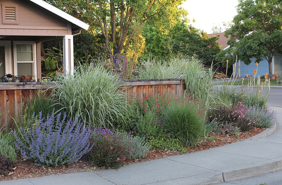 [110511_front_outside_fence2c[2].jpg]
