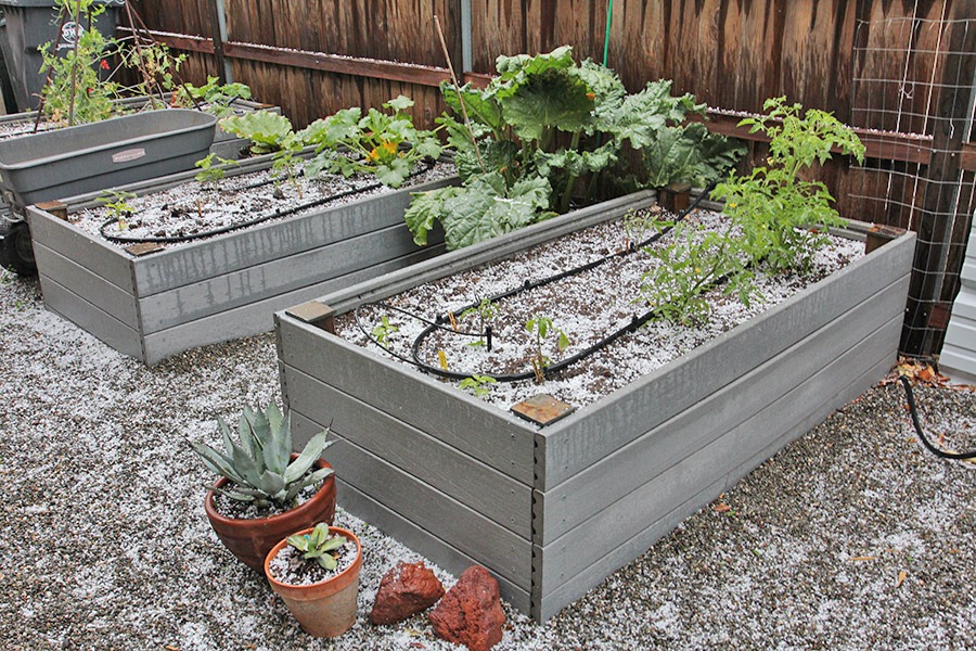 [110515_hail_veg_beds[2].jpg]