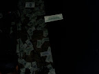sumfest thurs 2008 070.jpg