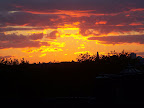 100_9032.JPG