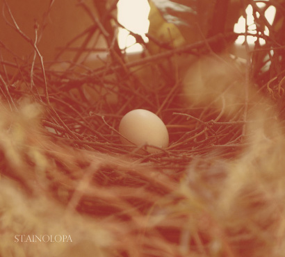 Baby Egg