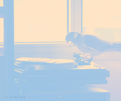 pigeon_vinyle