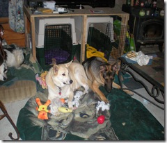 Raina, forest and Molly 056