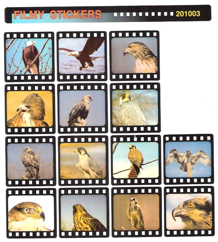[eaglestickers[4].jpg]