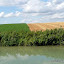 Canal lateral a la Marne - Champagne terroir