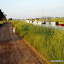 Canal du Midi at Les Onglous