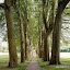 Near Montferrand, Canal du Mid - Plane trees at the Seuil de Naurouze