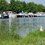 Castelsarrasin, Canal de Garonne - port de plaisance Jacques Cousteau (avec canard)